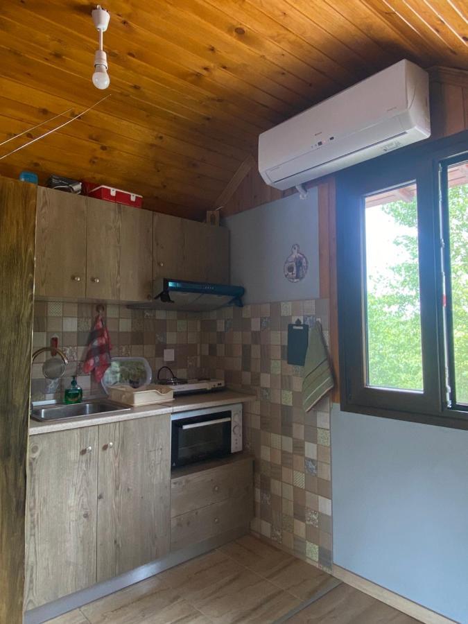 Γαληνη 3 Villa Litóhoro Kültér fotó